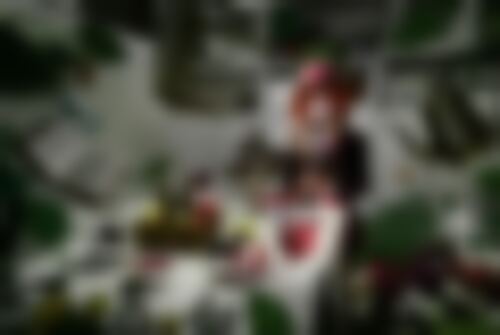 Квест Алиса и Чеширский кот на srtv.kvestinfo.ru Квест Алиса и Чеширский кот