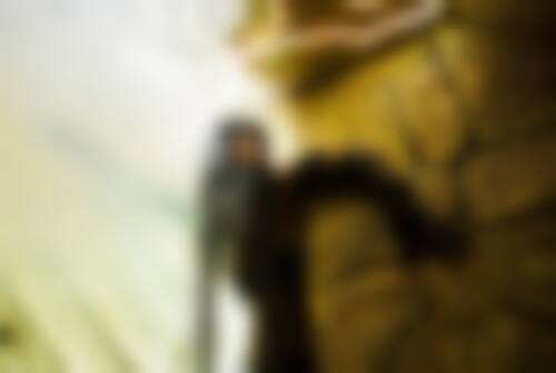 Квест Пророчество Майя