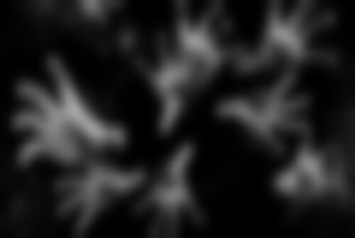 Перформанс Бойся темноты на srtv.kvestinfo.ru Перформанс Бойся темноты