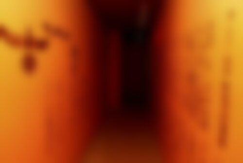 Квест Проклятие фараона на srtv.kvestinfo.ru Квест Проклятие фараона