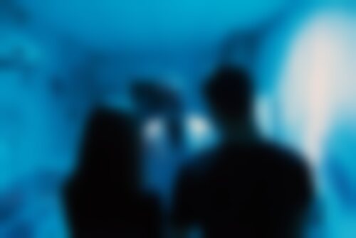 Квест Ходячие